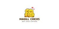 Magill Chicks