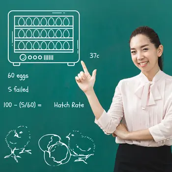 Teacher using egg hatching to teach class basic maths