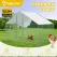 VaKa 3 x 2 x 1.95m Metal Walk-In Chicken Coop Rabbit Hutch Cage Hen House