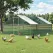 i.Pet Chicken Coop Cage 3 x 8 x 2m Galvanised Steel
