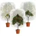 3-Pack Fruit Tree Netting 2.62 x 3.28 ft with Zipper and Drawstring
