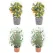 4-Pack Garden Mesh Netting Plant Covers, 1 x 1m, Insect & Bird Barrier, Drawstring