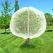 10 Pack 10 x 10ft Fruit Tree Netting Bags with Zipper and Drawstring