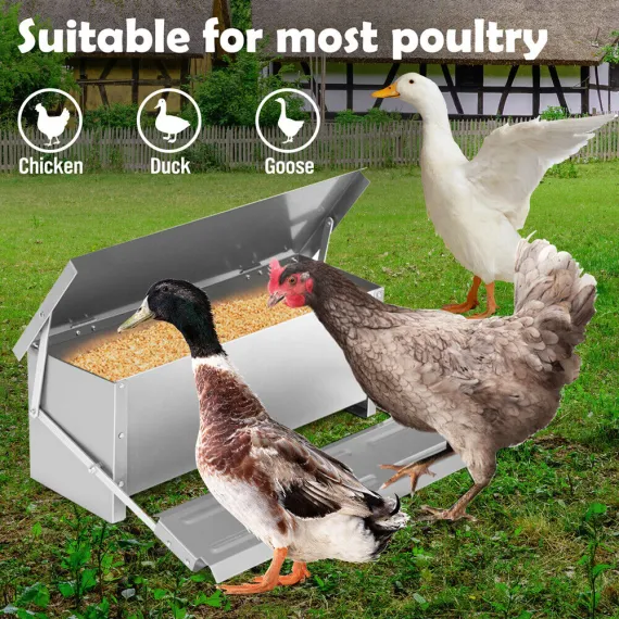 10KG 12.5L Garden Farm Automatic Food Storage Box Stand Chicken Feeder Poultry image: 7
