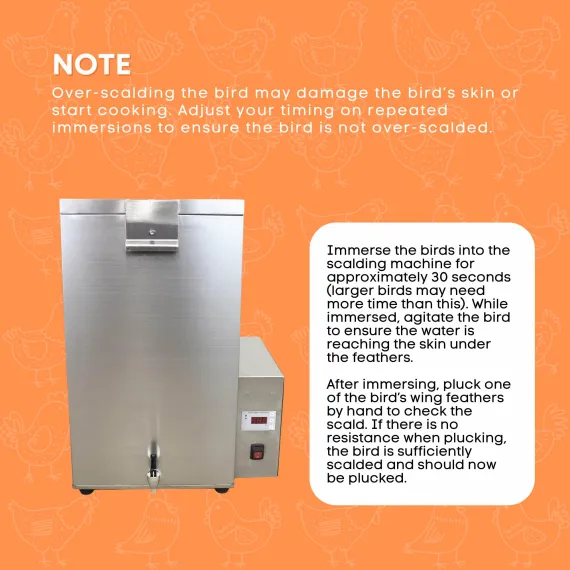 70L Electric Chicken Scalder Machine - Stainless Steel Poultry Turkey Scalding image: 6
