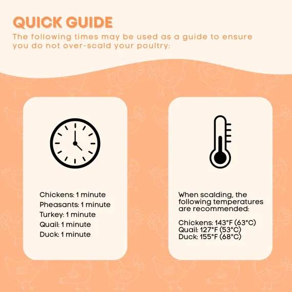 70L Electric Chicken Scalder Machine - Stainless Steel Poultry Turkey Scalding image: 7