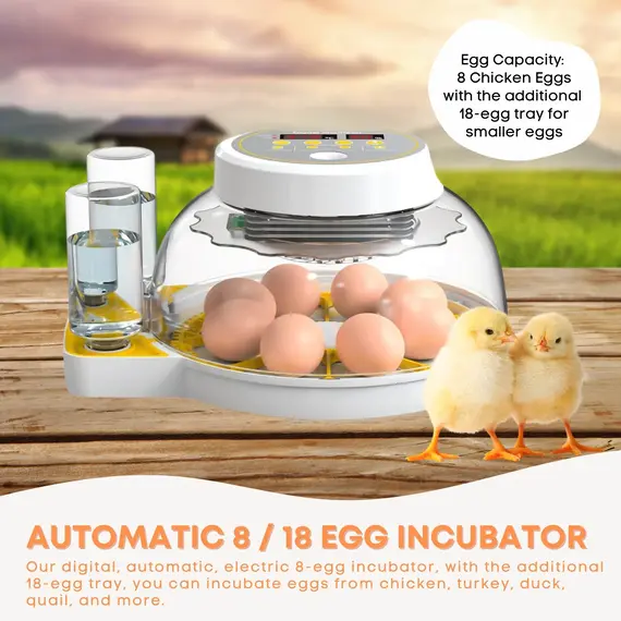 Automatic 8 / 18 Egg Incubator - Electrical Turning Chicken Quail Duck Hatching image: 1
