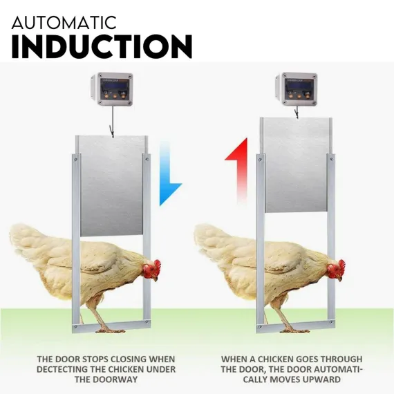Chicken Coop Door with Digital LCD Screen to manage Timer and Sensor image: 3