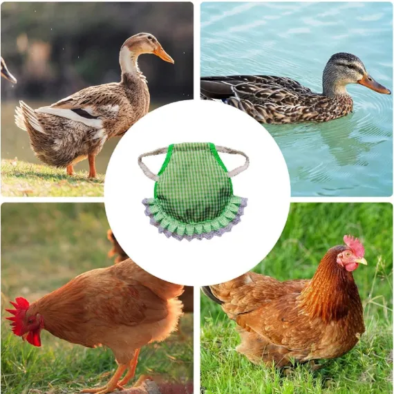 5pcs Pet Feather Protector Hen Apron Poultry Protection Apron for Chickens Birds image: 3