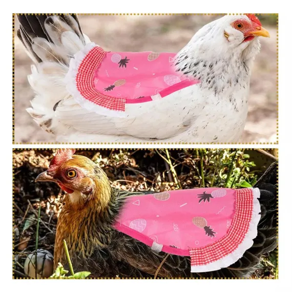 5pcs Pet Feather Protector Hen Apron Poultry Protection Apron for Chickens Birds image: 4