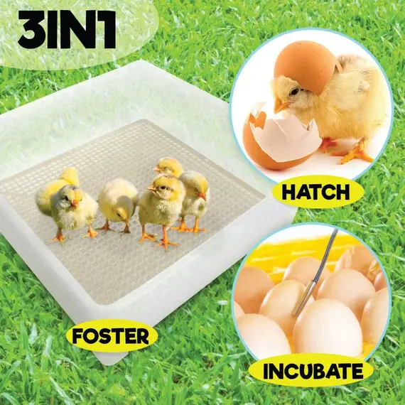 Rooster Farms Electric 112 Egg Incubator + Accessories for Chicken Quail Duck image: 8
