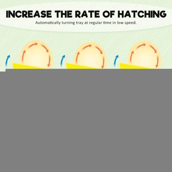 Rooster Farms Electric 96 Egg Incubator + Accessories for Chicken Quail Duck image: 11