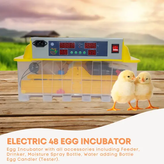 Rooster Farms Electric 48 Egg Incubator + Accessories for Chicken Quail Duck image: 1