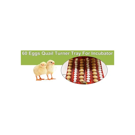 Rooster Farms Electric 60 Egg Incubator + Accessories for Chicken Quail Duck image: 6