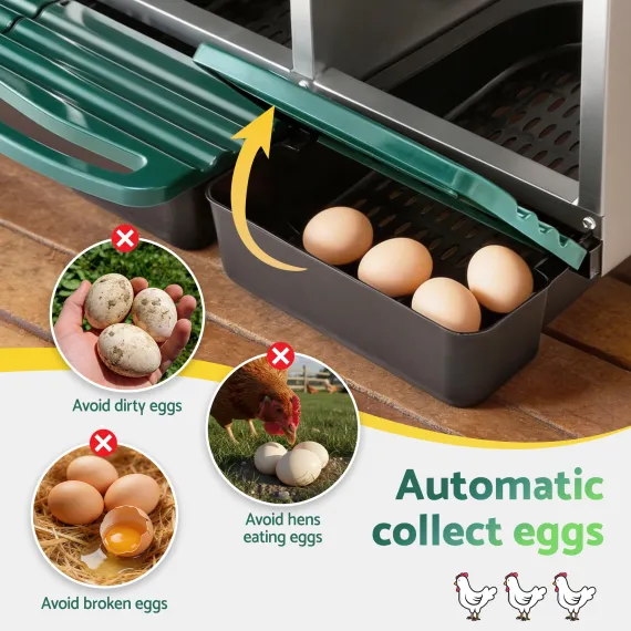 i.Pet Chicken Nesting Box Roll Away 3 Holes Metal Wall Mounted Nest Box Green image: 5