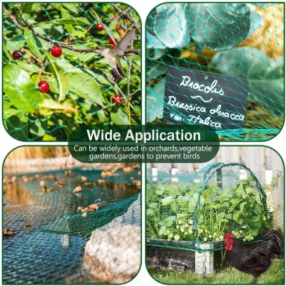 Chicken Netting, 2 Pieces Anti Bird Netting, 4M X 10M Bird Netting, Fruit Tree Netting, Protective Netting, Protect image: 3