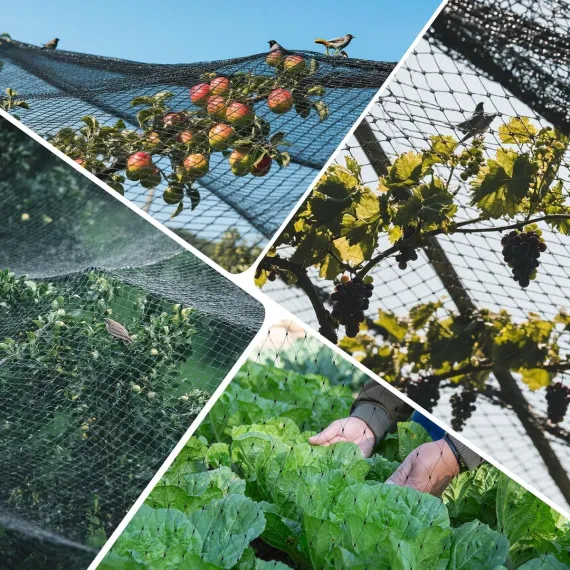Anti-Bird Netting - Black - 4m x 6m image: 2