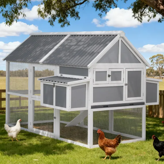 i.Pet Large Chicken Coop 213 x 176 x 152cm Grey White