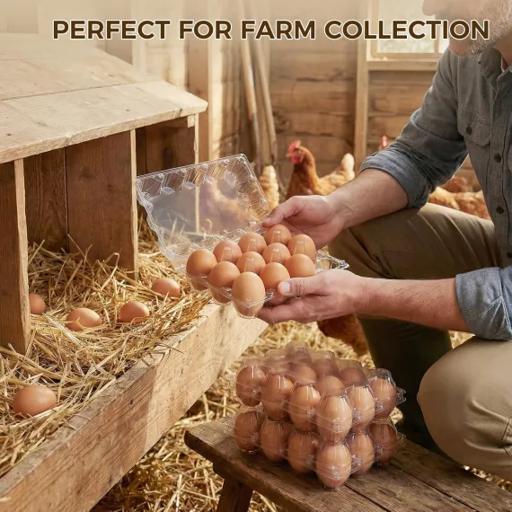 Plastic Egg Cartons, with Date Labels (x60) image: 5