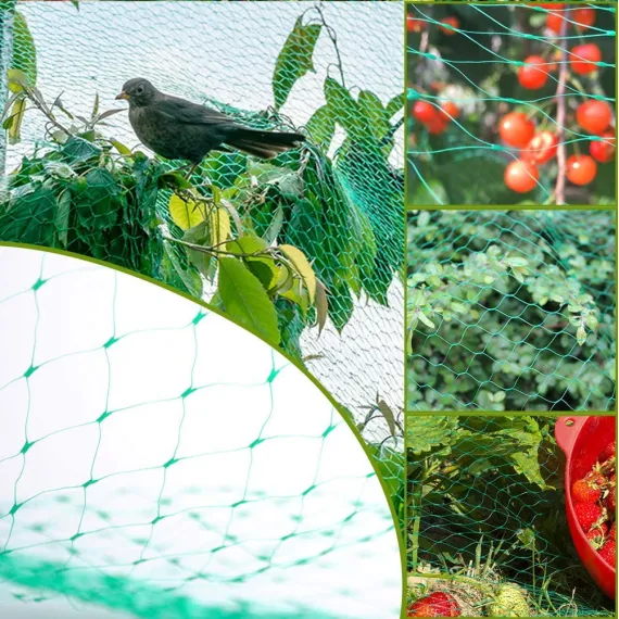 Bird Netting Garden Pest Barrier 13 x 19.8ft Green