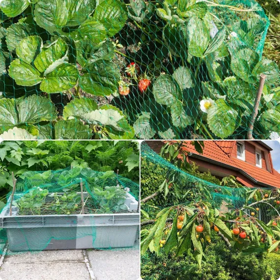 Bird Netting Garden Pest Barrier 13 x 19.8ft Green
