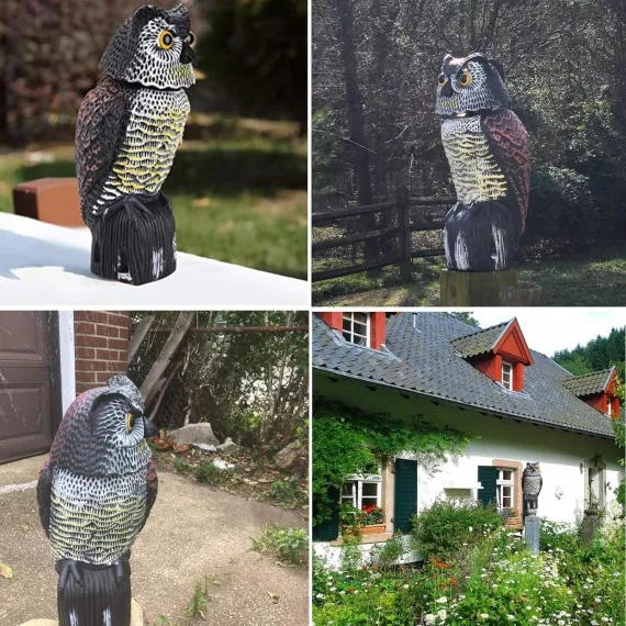 Owl Bird Decoy with Rotating Head, Realistic Eyes and Waterproof Design