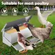 10KG 12.5L Garden Farm Automatic Food Storage Box Stand Chicken Feeder Poultry image: 7