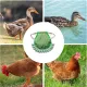 5pcs Pet Feather Protector Hen Apron Poultry Protection Apron for Chickens Birds image: 3