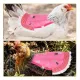5pcs Pet Feather Protector Hen Apron Poultry Protection Apron for Chickens Birds image: 4