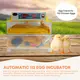 Rooster Farms Electric 112 Egg Incubator + Accessories for Chicken Quail Duck image: 1