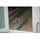 YES4PETS Green Large Chicken Coop Rabbit Hutch Ferret Guinea Pig Cage Hen Chook Cat Kitten House image: 3