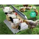 Giantz Chicken Feeder 5KG Automatic Auto image: 5