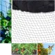 Anti Bird Netting, 15m x 15m