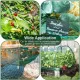 Chicken Netting, 2 Pieces Anti Bird Netting, 4M X 10M Bird Netting, Fruit Tree Netting, Protective Netting, Protect image: 3