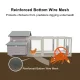 Samland Wooden Chicken Coop with Spacious Run, Outdoor Waterproof Hen House