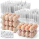 Plastic Egg Cartons, with Date Labels (x60)