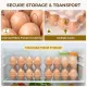 Plastic Egg Cartons, with Date Labels (x60) image: 2