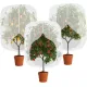 3-Pack Fruit Tree Netting 2.62 x 3.28 ft with Zipper and Drawstring
