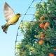 Deer Fence Netting 7 x 100ft Anti-Bird Garden Protection Netting