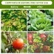 4-Pack Garden Mesh Netting Plant Covers, 1 x 1m, Insect & Bird Barrier, Drawstring