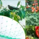 Bird Netting Garden Pest Barrier 13 x 19.8ft Green
