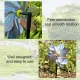 10-Piece Bird-Repelling Reflective Windmill Set for Outdoor Areas