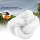 Anti-Bird Mesh Garden Netting 2 x 3 m for Crop, Fruit & Vegetable Protection