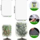 4 Pack Garden Mesh Netting Bags with Drawstring, 2 Sizes, 2.6 x 3.3ft & 3.3 x 4.9ft