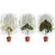 3-Pack Fruit Tree Netting 2.62 x 3.28 ft with Zipper and Drawstring