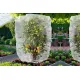 Bird Netting Garden Plant Cover, 60 Mesh PE, Zipper and Drawstring, 1.0 x 0.7m