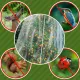 2-Piece Fruit Tree Netting Cover 70 x 100 cm with Drawstring