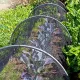 Mosquito Garden Mesh Netting 20 x 10 Ft / 3 x 6 m, Black, Fly & Bird Barrier