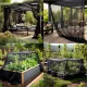 Mosquito Garden Mesh Netting 2.4 x 6 m, Black, for Fly, Bird & Plant Protection